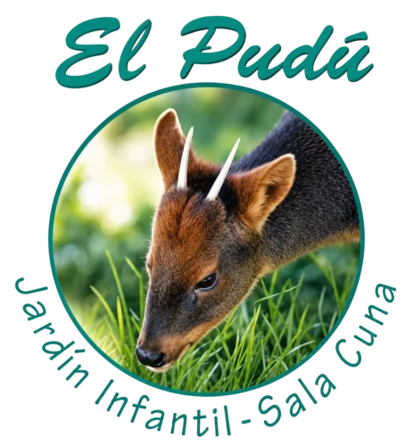 logo sin fondo 4k